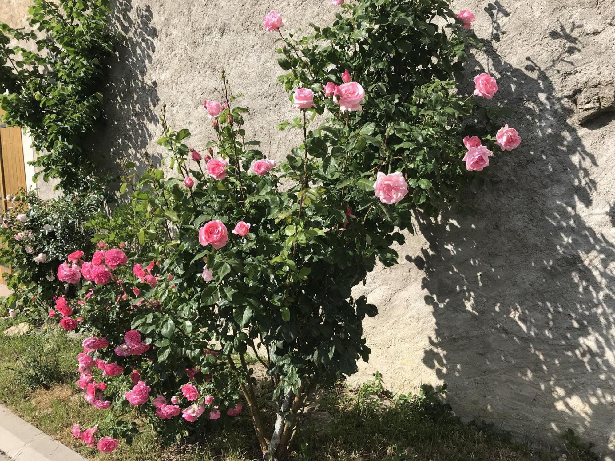 Autrepierre Gite Renove Avec Jardin, Proche Loisirs Et Commerces, A Une Heure De Nancy Et Metz - Fr-1-584-168 מראה חיצוני תמונה